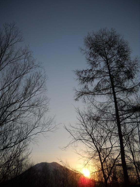 Niseko Shirokuma Cottage Buitenkant foto